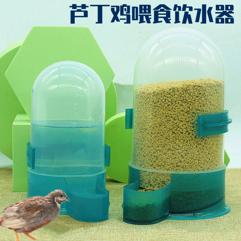 鸽子用品用具八哥鹩自动