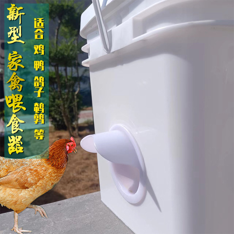 养鸡用品鸡鸭鸽子防撒防