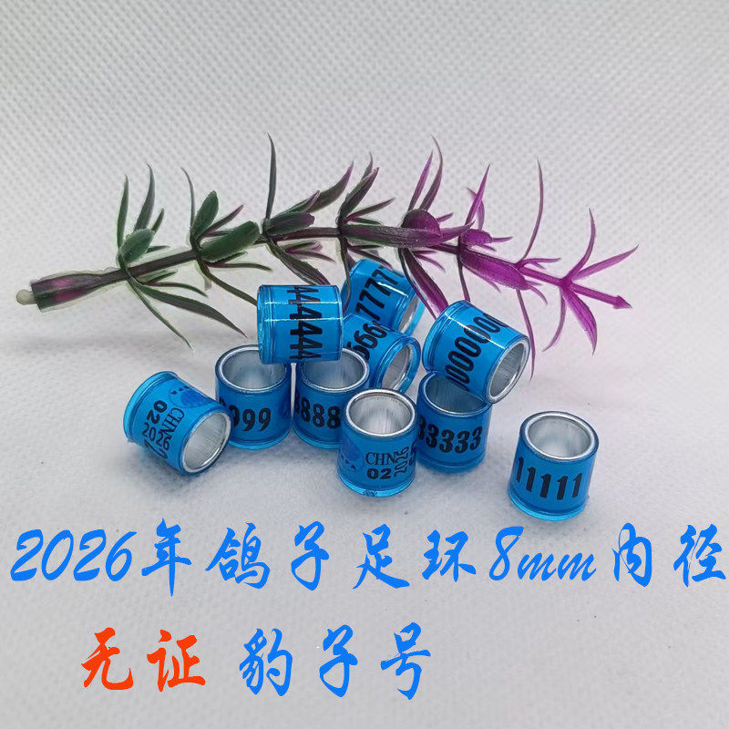 2026年统一环不带证鸽子