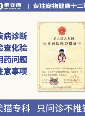 猫咪狗狗犬线上问诊宠物医生诊疗远程网络问诊医院诊所诊疗咨询服