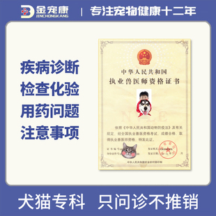 猫咪狗狗犬线上问诊宠物医生诊疗远程网络问诊医院诊所诊疗咨询服