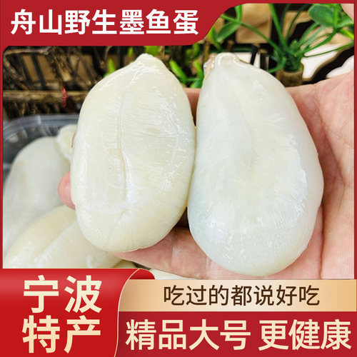 宁波特产新鲜腌制大墨鱼蛋500g