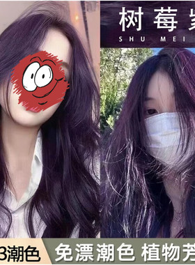 树莓紫色染发剂膏自己在家染流行色显白学生爆款易上色植物不伤发