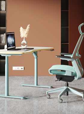 摩伽电动升降桌平衡板人体工学办公套装