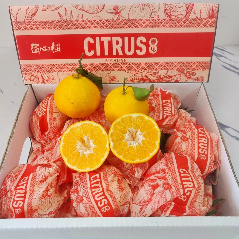 新货匠心极春见粑粑柑原箱礼盒8斤新鲜水果丑八怪橘子甜嫩多汁,水产肉类/新鲜蔬果/熟食,桔子,淘宝优惠券,粉丝福利购,淘宝优惠卷