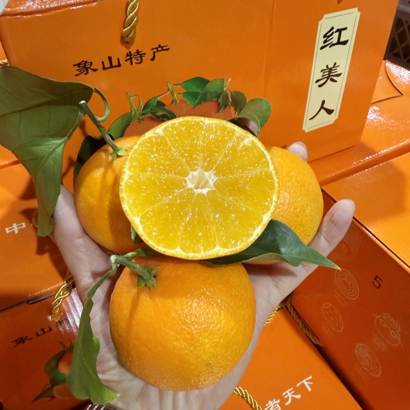 象山红美人柑橘礼盒装5斤当季新鲜水果橘子皮薄甜嫩多汁桔子包邮,水产肉类/新鲜蔬果/熟食,桔子,淘宝优惠券,粉丝福利购,淘宝优惠卷