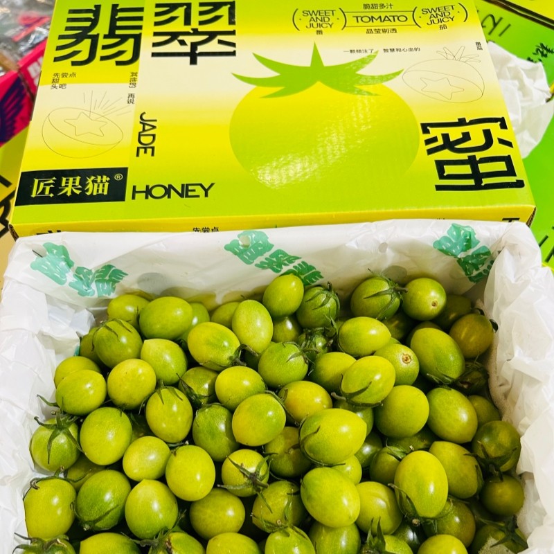 匠果猫翡翠青番茄千禧小番茄新鲜圣女果青衣小番茄纯甜多汁顺丰