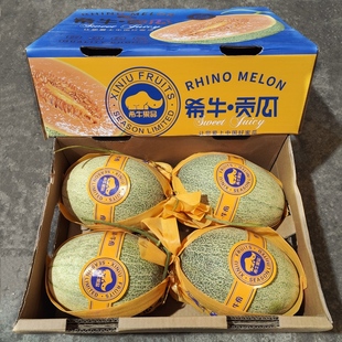 希牛果品希牛贡瓜礼盒装4颗海南晓蜜哈密瓜新鲜水果脆甜多汁包邮
