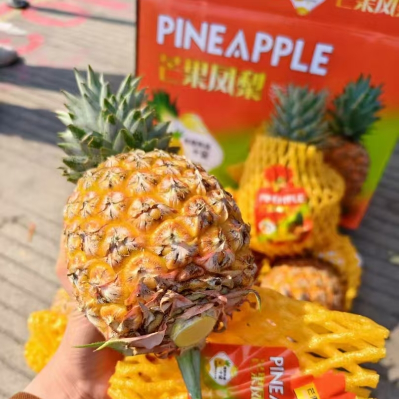 台湾品种芒果凤梨新鲜水果海南树上熟凤梨菠萝不涩口削皮即食顺丰