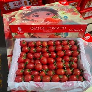 千禧小番茄釜山88小番茄礼盒3斤当季新鲜水果圣女果千禧果玲珑果