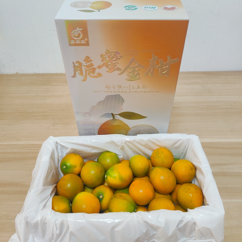 新货脆蜜金柑礼盒装3斤大果当季新鲜水果金桔脆甜多汁顺丰包邮