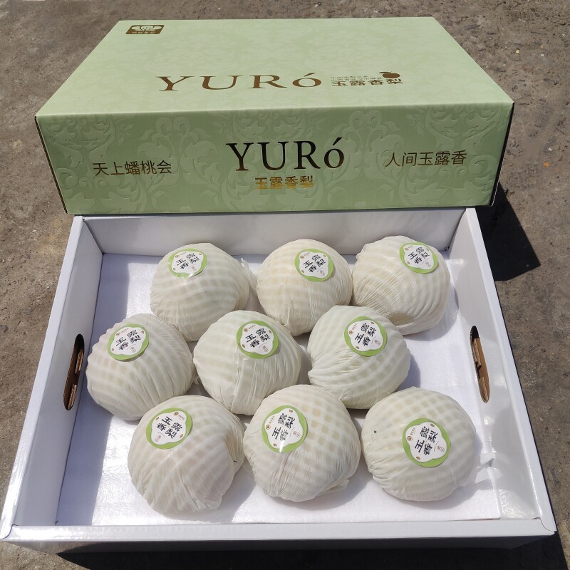 现货玉露香梨礼盒装8斤当季新鲜水果脆甜多汁皮薄无渣包邮