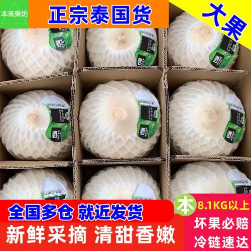泰国奶香椰青大果900g整箱9个