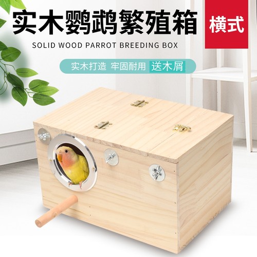 玄凤虎皮牡丹鹦鹉鸟用繁殖保暖