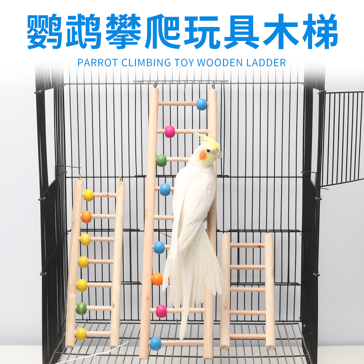 鹦鹉鸟用玩具用品云梯爬梯虎皮牡丹玄凤啃咬攀爬鸟笼梯子配件装饰,宠物/宠物食品及用品,鸟禽其他,淘宝优惠券,粉丝福利购,淘宝优惠卷