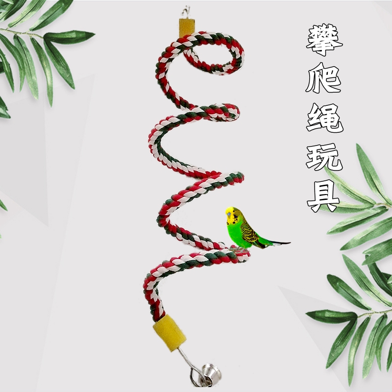 虎皮中大型鹦鹉互动螺旋天梯秋千