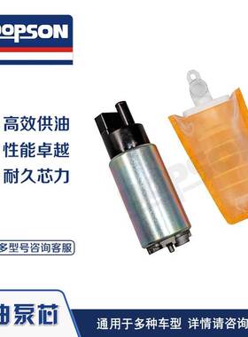 DOPSON FUEL PUMP 燃油泵 通用于多种车型 卓越品质