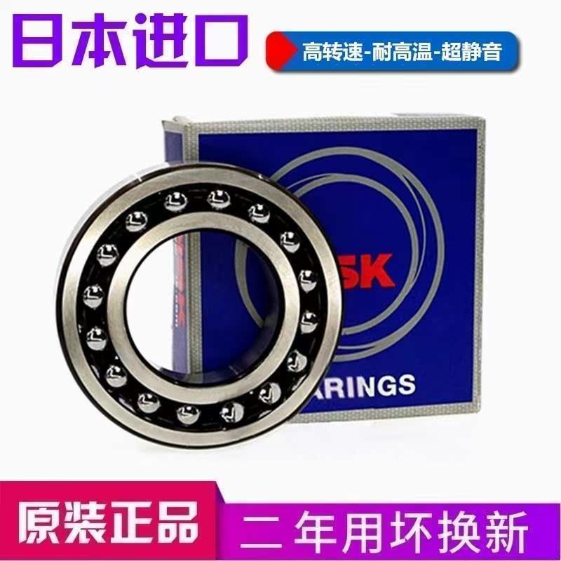 日本进口NSK轴承 1207 1208 1209 1210 1211 1212 1213 E/EK/C3