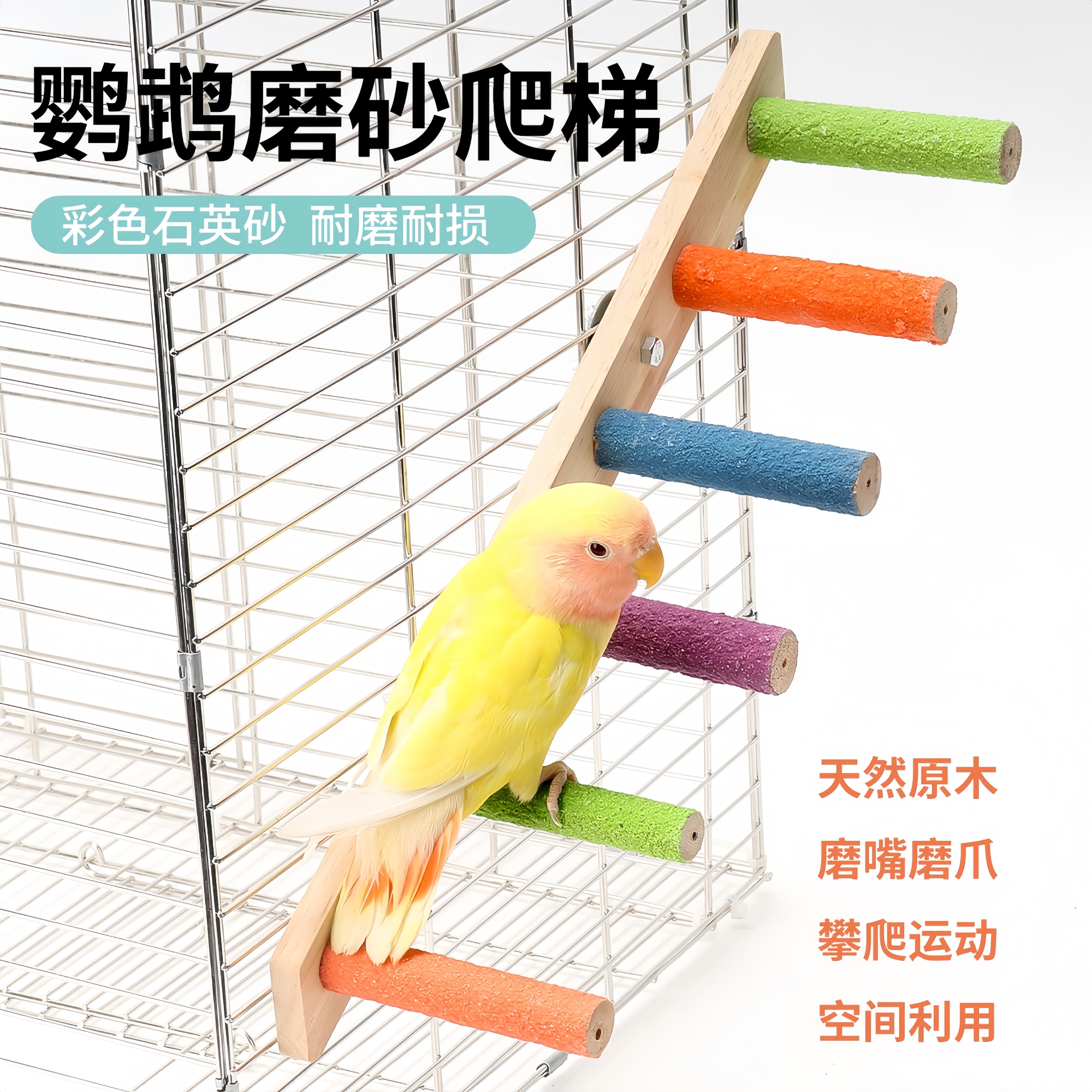 鹦鹉玩具小鸟云梯木梯互动爬梯