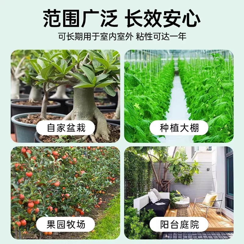 果园大棚双面黄板高效诱虫贴纸灭小飞虫果蝇蚊子苍蝇粘虫工具