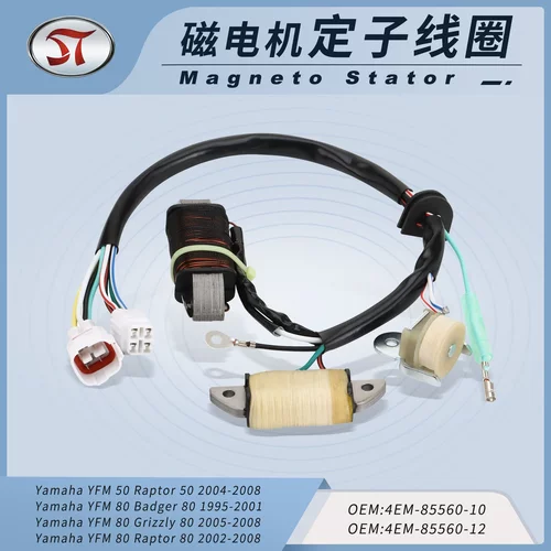 雅马哈Yfm猛禽50 80 95-08 4EM-85560-10 4EM-8EM-85560-12 线圈