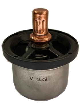 适用于沃尔沃卡车节温器420968  8149182 1676306 D5600222007