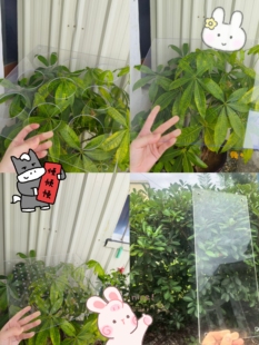 加厚攀爬架配件高清透明板子九孔板洞洞板忙碌板太空舱玻璃栈道