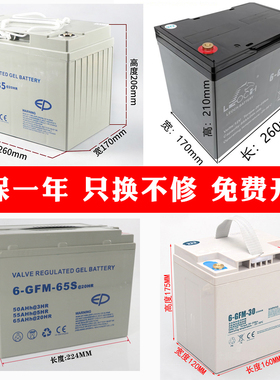 中力电动叉车电池小金刚配件12V电瓶蓄电池30A65A85A天能电池正品