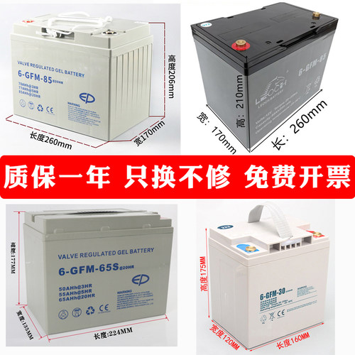 中力小金刚电动叉车电池电瓶电池