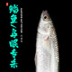 鲻鱼乌头鱼饵料海塘鱼饵咸淡水钓鲻鱼专用饵料专攻子鱼乌仔鱼饵料