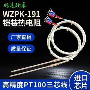 191针型 温度传感器WZPK 铂热电阻PT1000温度探头探针式 PT100铠装