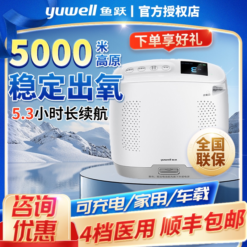 便携式制氧机Spirit-3老人随身医用氧气机户外原车载吸氧机配件