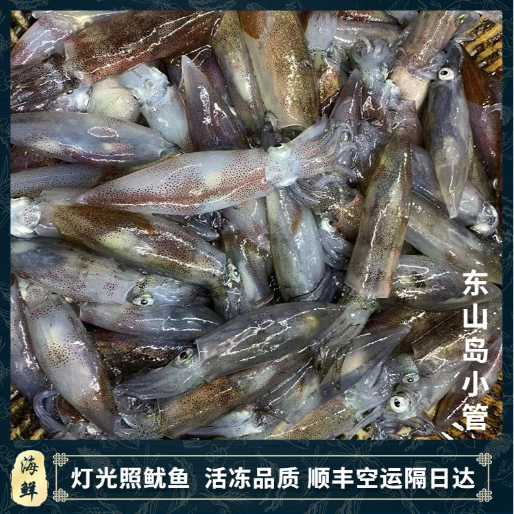 东山岛本港灯光照鲜活活冻小管冷冻笔直水产海鲜三盒包邮冰鲜鱿鱼