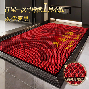 新款地垫2026家用地毯门口高级耐脏耐磨防滑走廊地毯入户门脚垫子