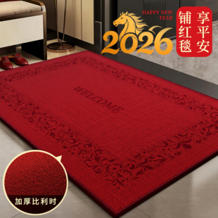 门口进门地毯垫新款喜庆高级感入户门垫子防滑加厚耐磨蹭脚垫家用