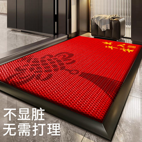 入户门地垫防滑家用玄关加厚门垫