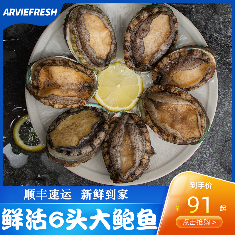 Arviefresh鮮活6頭鮑魚福建鮑魚貝類海鮮水産燒烤食材鮑魚壹斤6只在類目 水產肉類/新鮮蔬果/熟食, 海鮮/水產品/製品, 貝類, 鮑魚中 - 來自Buy2taobao.com提供專業的淘寶代購服務