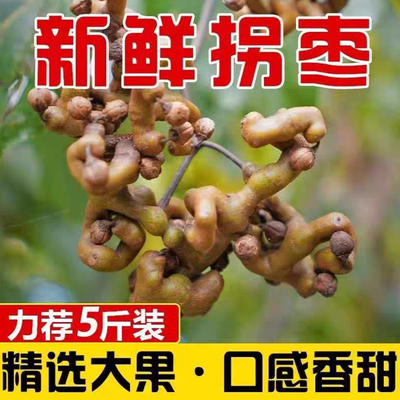 新鲜野生拐枣万寿果煲汤泡酒5斤