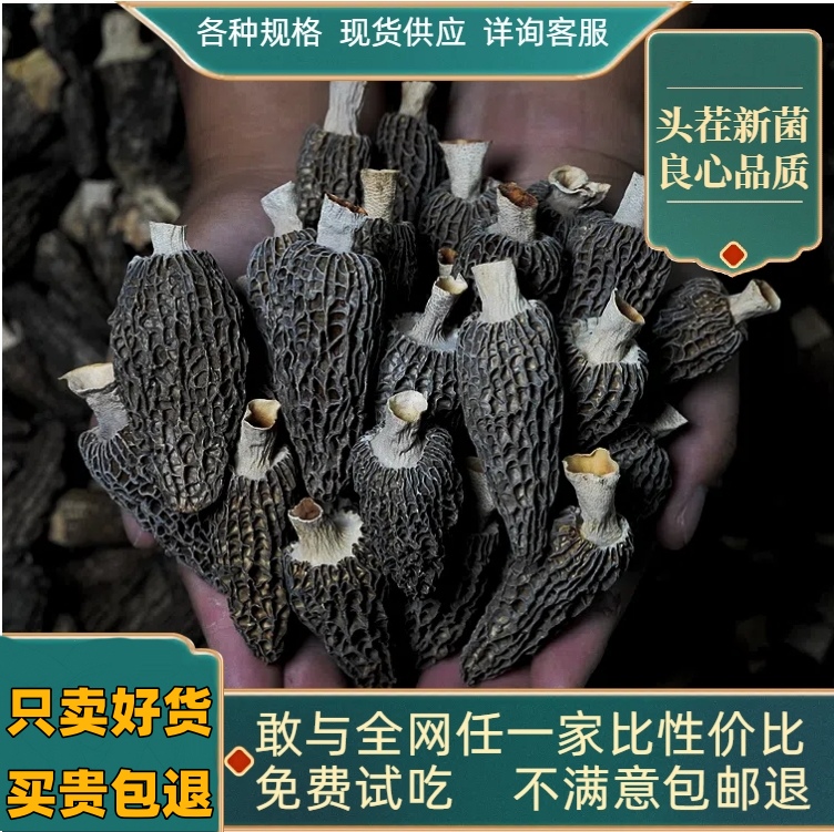 羊肚菌精品头茬剪柄厚肉干净好货