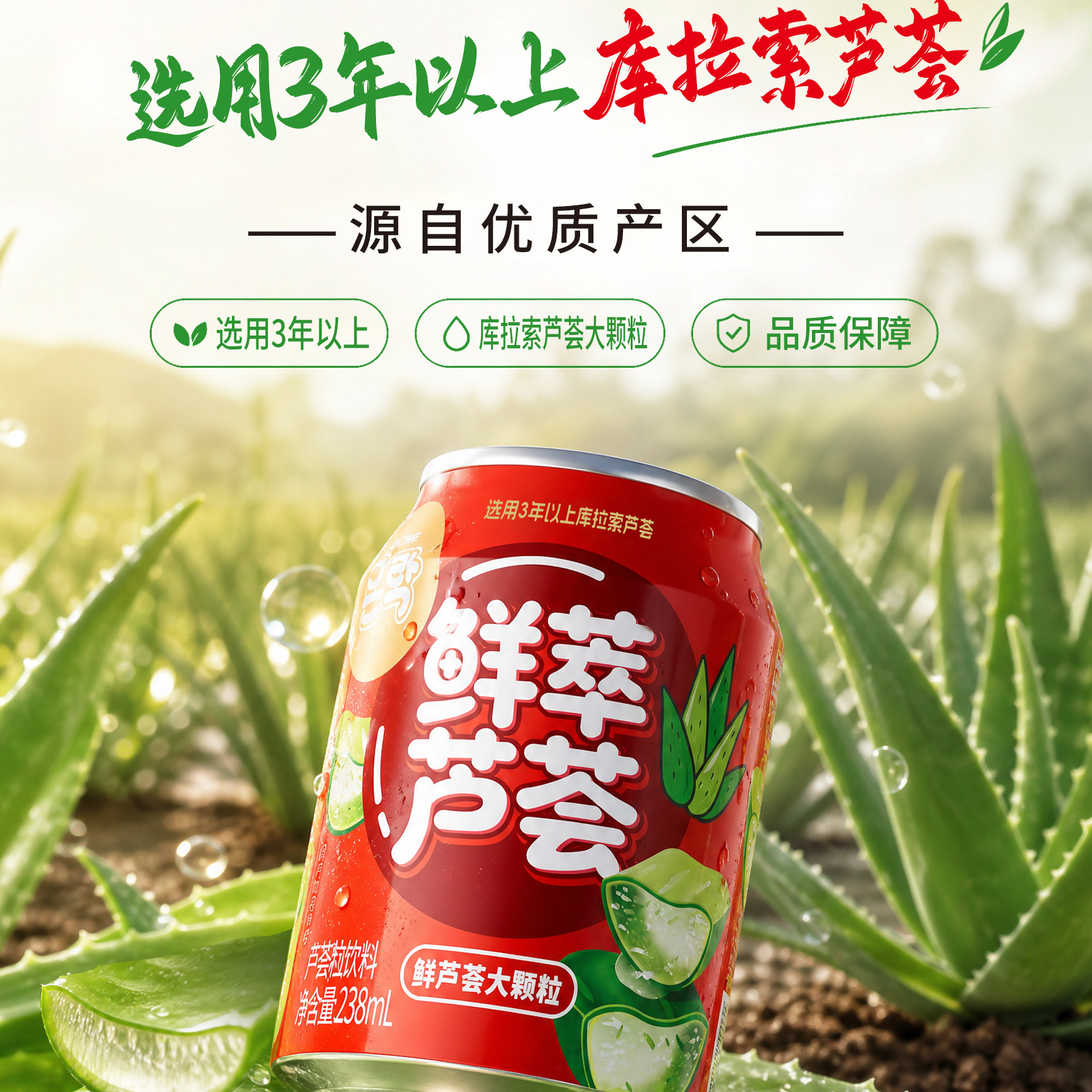 恩乐芦荟粒饮料大颗饱满清爽解渴一整箱238ml*12瓶礼盒装夏季饮品