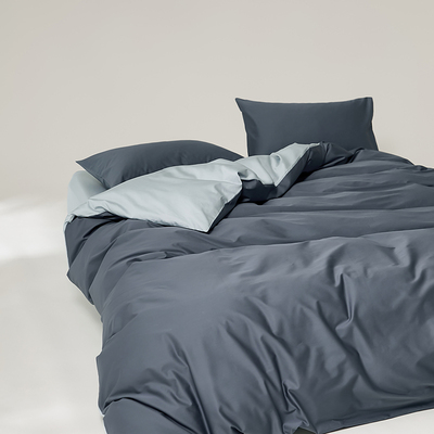 2025新款100支新疆长绒棉四件套纯棉床单全棉被套罩床笠纯色简约