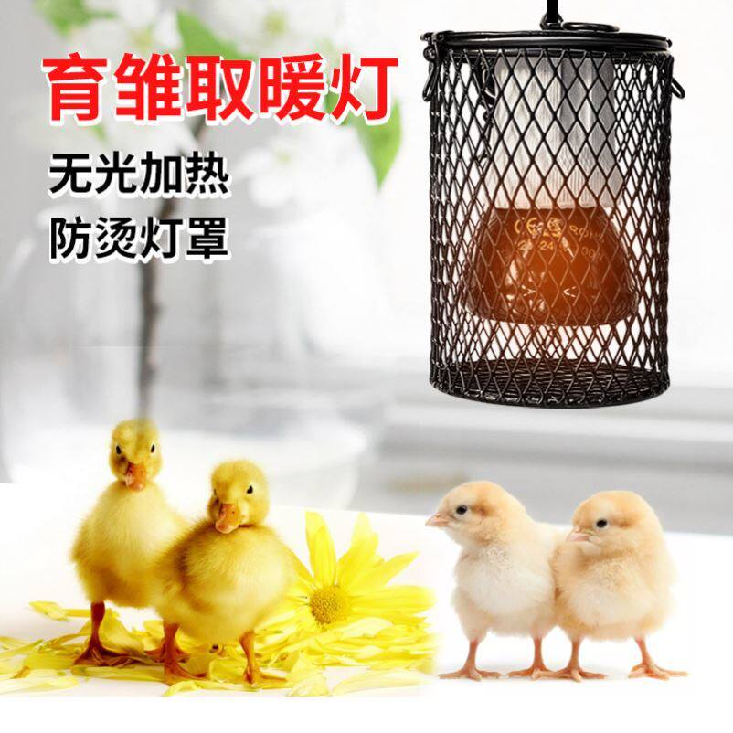 小鸡保温箱育雏箱自动控温灯恒温小鸟鸡鸭鹅鹌鹑养殖设备用保温箱