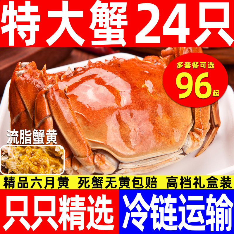 【活蟹】8-24只大闸蟹鲜活现货六月黄特大螃蟹含绳湖蟹水产河蟹