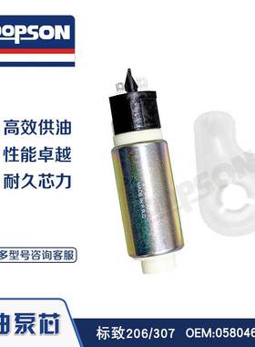DOPSON FUEL PUMP 燃油泵芯 适用于标致206/307 0580464001