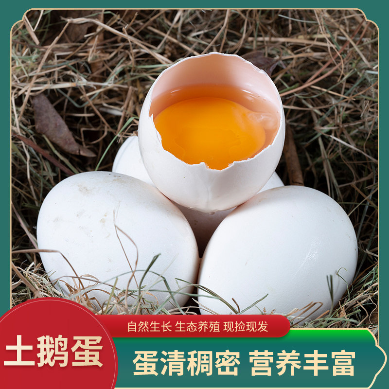 上海同城青浦白鹤乡下竹林新鲜农家散养土鹅蛋正宗特产大个生鹅蛋
