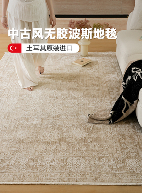伽音复古风波斯客厅地毯 Turkey进口高端美式轻奢别墅法式卧室毯