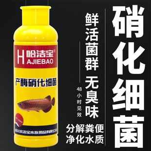 硝化细化菌质鱼缸用活硝净水剂宝水水化硝菌水哈族稳定剂菌洁族