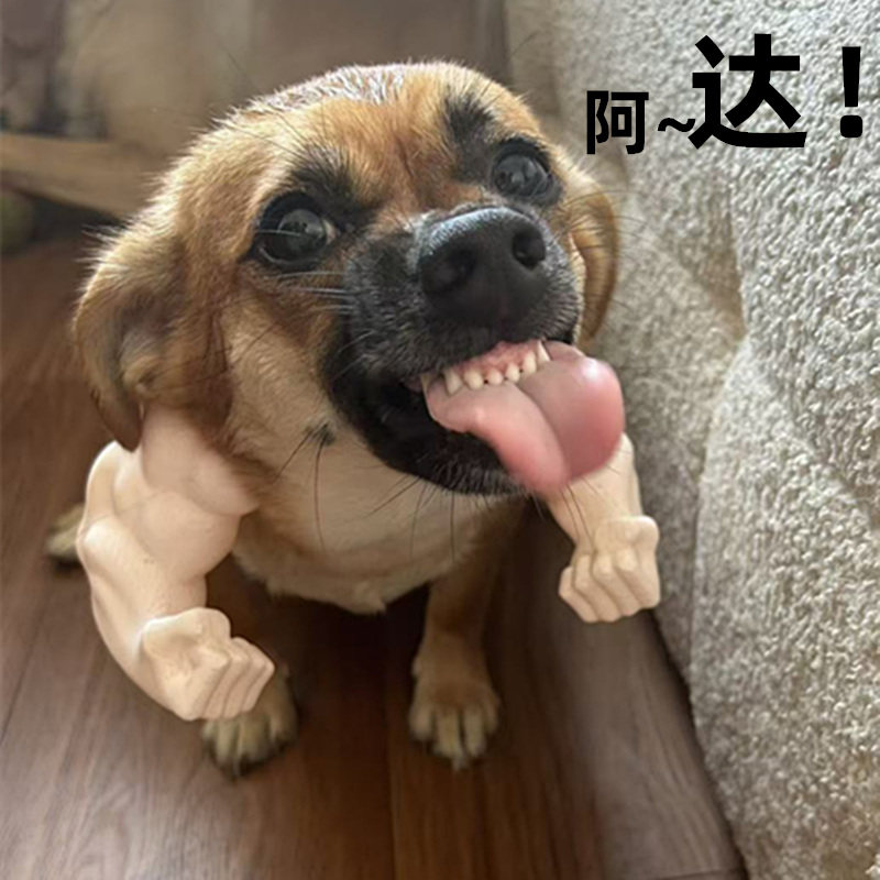 狗狗肌肉挂臂搞怪肌肉拳头搞笑猫咪小拳拳可爱万圣节COS宠物配饰