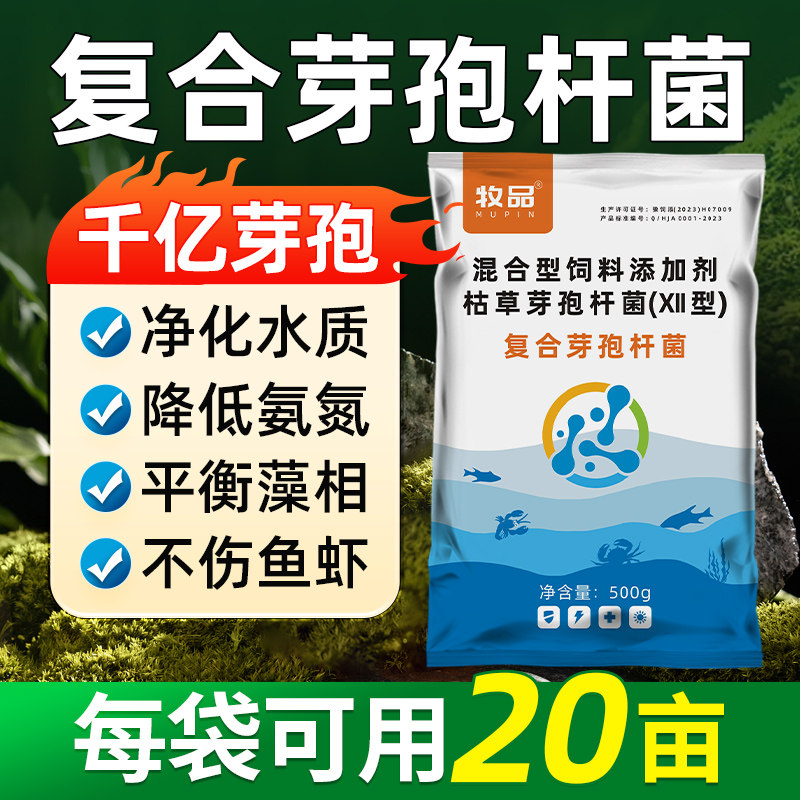 复合芽孢杆菌水产养殖虾塘蟹塘免发酵净水调水改底肥水降氨氮亚盐