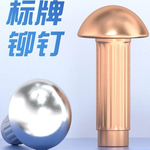 GB827铝标牌铆钉不锈钢